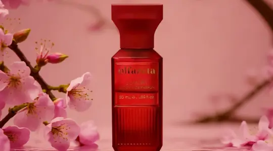 Découvrez le Parfum Chogan 118 : L'Élégance Inspirée de Baccarat Rouge 540