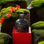 Parfum Chogan n°052